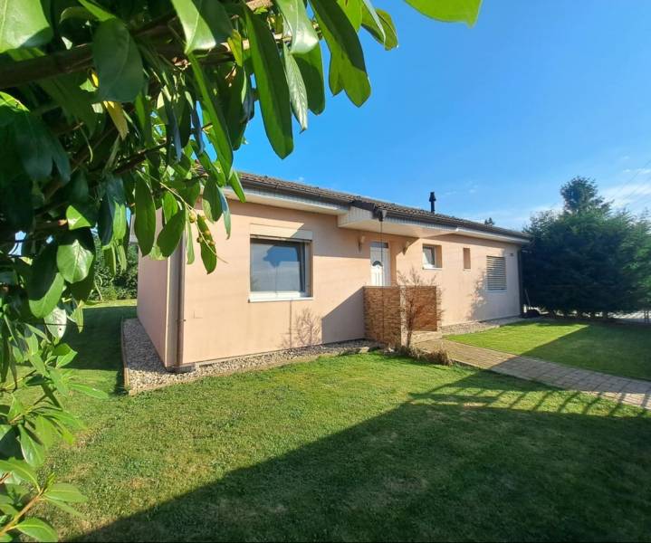 Rodinný dům v Černém Brodě obklopený zelení a udržovaným trávníkem.