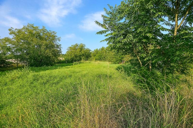 Zelený pozemek na bydlení ve Velkém Záluží obklopený stromy a modrou oblohou.