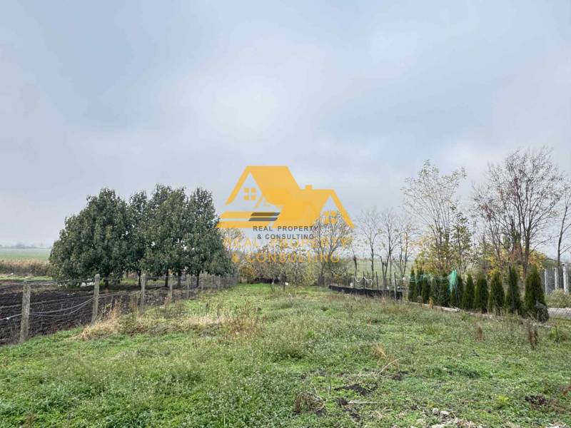 Zahrada v Dvorech nad Žitavou s trávníkem a stromy u rodinného domu.