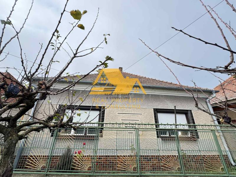 Rodinný dům na ulici ve Dvorech nad Žitavou s plotem a stromem bez listí.