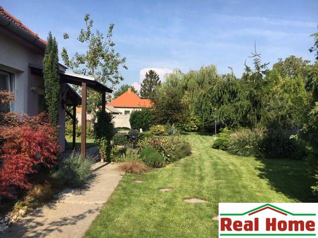 Zahrada u rodinného domu v Černé Vodě s trávníkem a zelení.