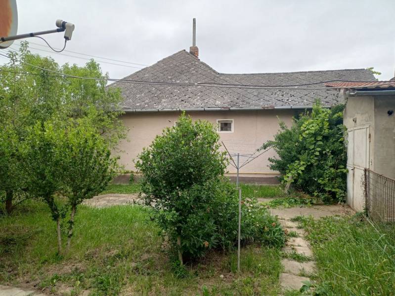 Zahrada rodinného domu ve Strekově s vysazenými keři a satelitní anténou.