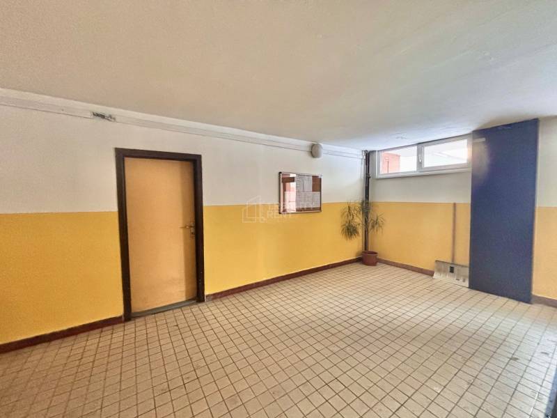 Chodba v budově 3-pokojového bytu s dlažbou, dveřmi a rostlinou v rohu.