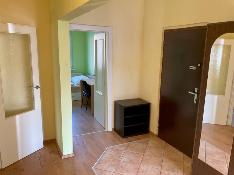 Předsíň s tmavými dveřmi, podlaha s dřevěným dekorem, výhled do pokoje.