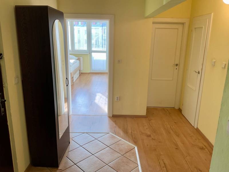 Chodba ve 3-pokojovém bytě s podlahou s dřevěným dekorem a vestavěnou skříní.