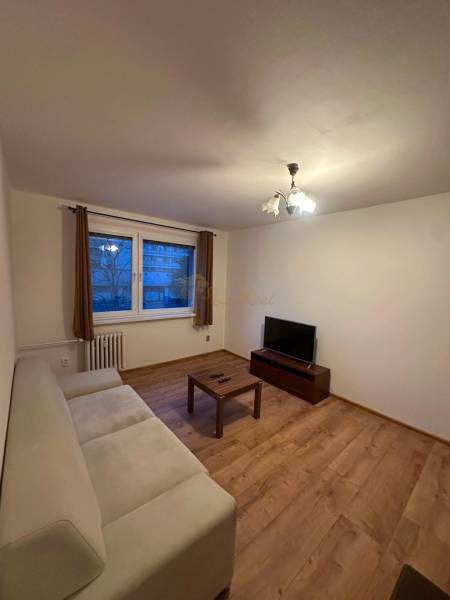 Obývací pokoj v 2-pokojovém bytě s pohovkou, televizorem a podlahou s dřevěným dekorem.