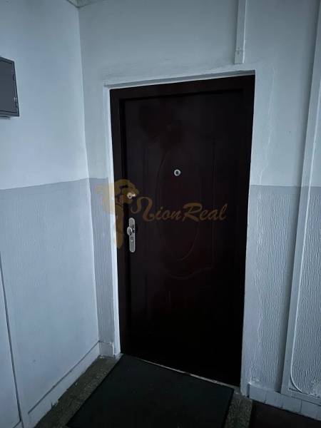 Vstupní dveře v 2-pokojovém bytě s bílými stěnami a hnědým kobercem.