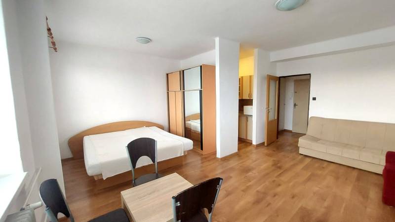 1+kk byt s podlahou s dřevěným dekorem, postelí, gaučem a skříní.