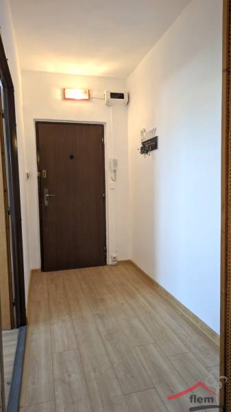 Vstupní hala v 1-pokojovém bytě s podlahou s dřevěným dekorem a bílými stěnami.