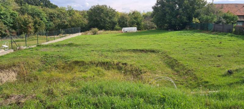 Zahrada u rodinného domu v Semerově, se zelení a stromy na okraji pozemku.