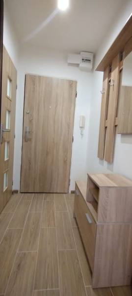 Vstupní chodba v 1-pokojovém bytě s dřevěným dekorem a praktickým nábytkem.