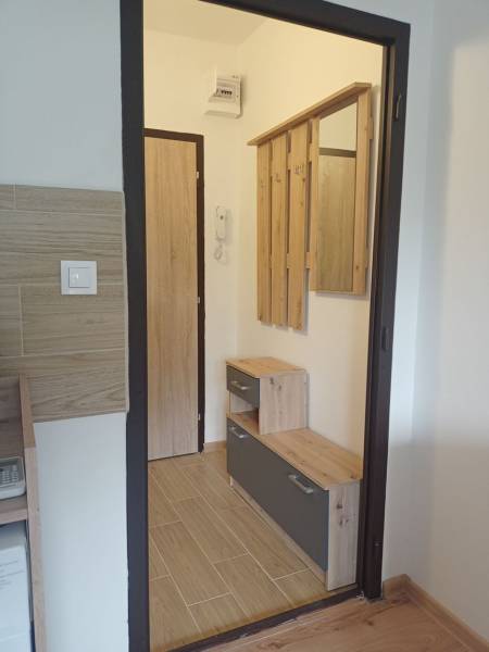 Předsíň v garsonce s podlahou s dřevěným dekorem a věšákovou stěnou.