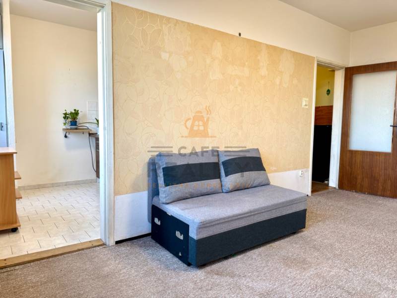 Šedá pohovka a koberec v pokoji jednopokojového bytu, světlé stěny s dekorem, vstup do kuchyně.