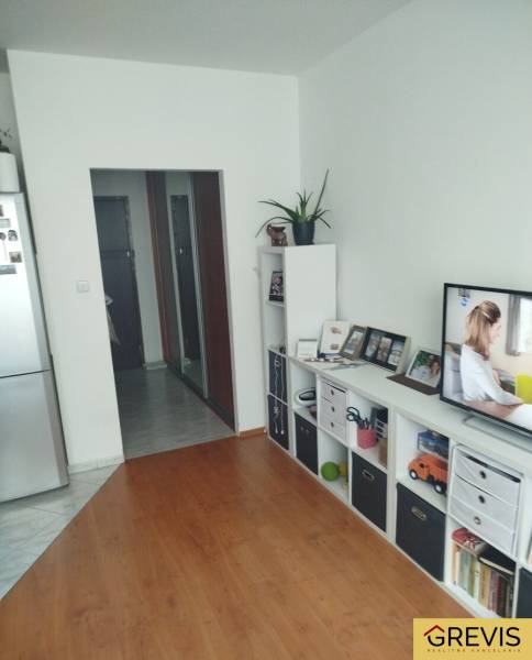 Garsonka s podlahou s dřevěným dekorem, televizorem a úložnými prostory.