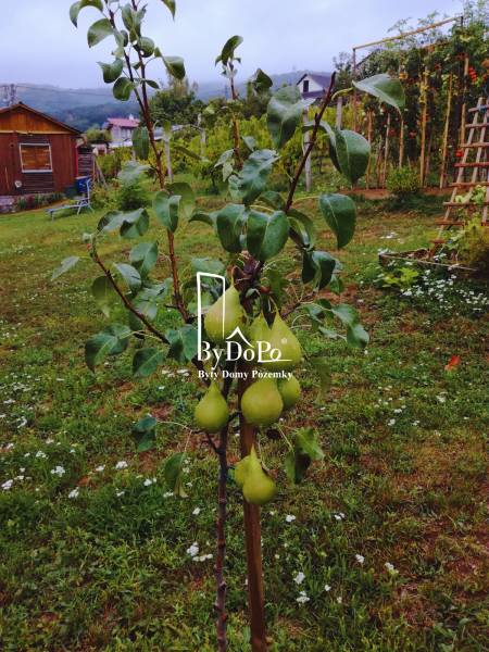 pozemok, Narcisova ul., Nitra, Zobor.jpg