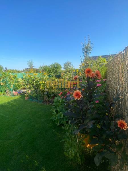 Květinová zahrada u rodinného domu na Radové ulici v Nové Dedince, lemovaná plotem.