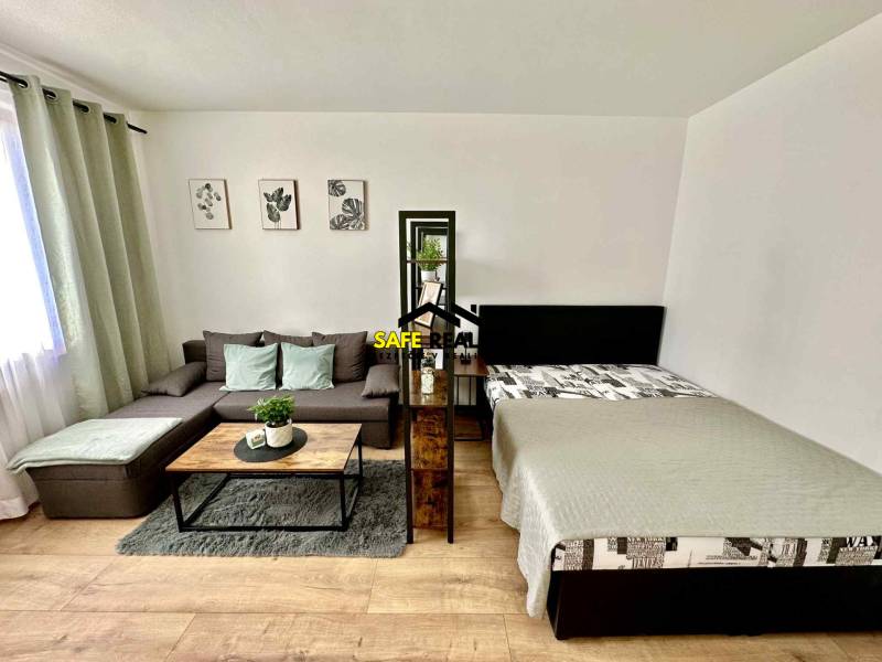 Obývací pokoj v jednopokojovém bytě s pohovkou, postelí a dekoracemi, podlaha s dřevěným dekorem.