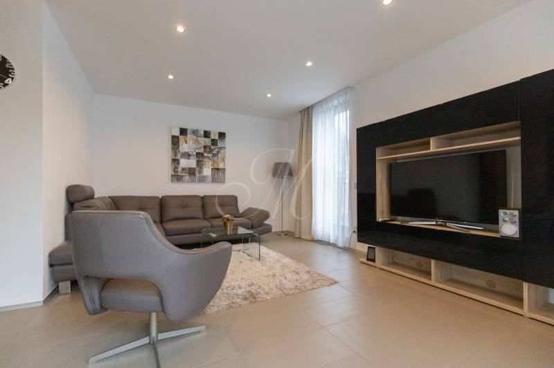 Obývací pokoj dvoupokojového bytu s pohovkou, křeslem, stolem, televizí a kobercem.