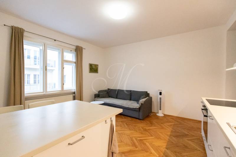 Obývací pokoj v 2-pokojovém bytě s pohovkou a podlahou s dřevěným dekorem.