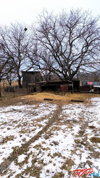 Sněhem pokryté pozemky na bydlení se stromy na Mírové ulici v Krásnohorské Podhradí.