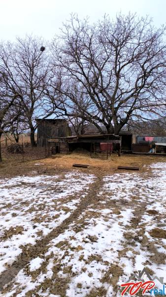Sněhem pokrytý pozemek na bydlení v Krásnohorskom Podhradí, Mierová, s velkými stromy.