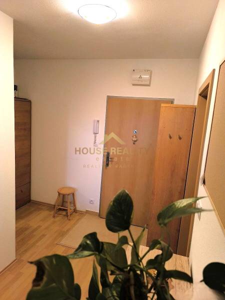 Vstupní část 2pokojového bytu s podlahou s dřevěným dekorem a pokojovou rostlinou.