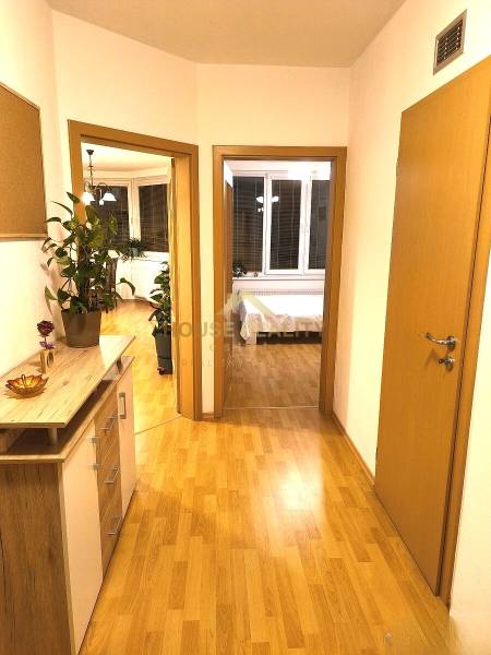 Chodba 2pokojového bytu s podlahou s dřevěným dekorem, pokojovými rostlinami a nábytkem.