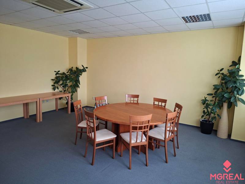 Kancelář s kulatým stolem, šesti židlemi, modrým kobercem a rostlinami.