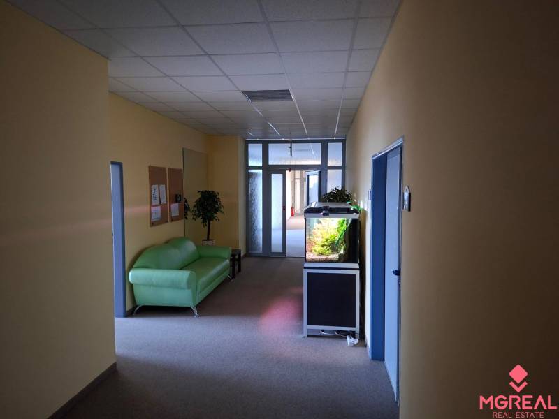 Kanceláře s akváriem, zelenou pohovkou a rostlinou.