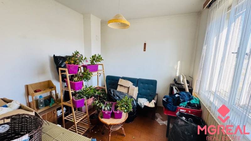 Pokoj v rodinném domě s rostlinami, sedačkou a stolkem před velkým oknem.