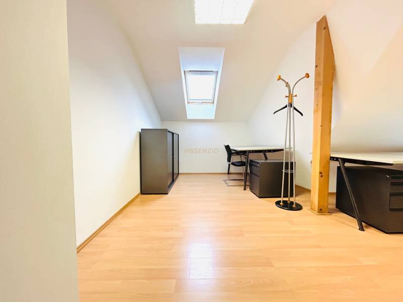 Kanceláře s podlahou s dřevěným dekorem, světlík, nábytek a věšák na oblečení.