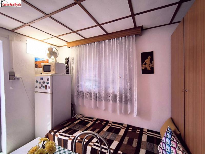 Chata s jednoduchým interiérem, gaučem, ledničkou, mikrovlnkou a květinovou výzdobou.