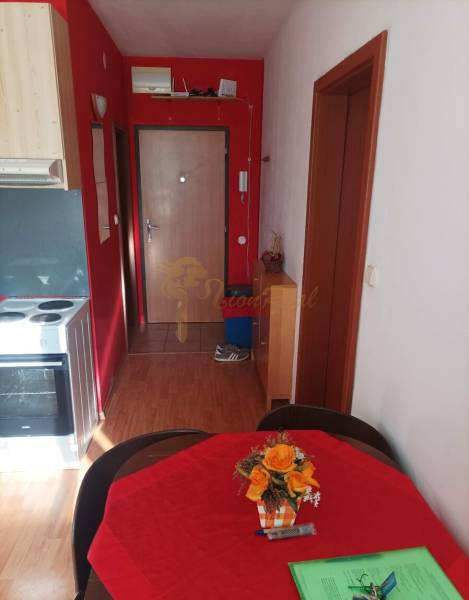 1-pokojový byt s výraznými červenými stěnami a podlahou s dřevěným dekorem.