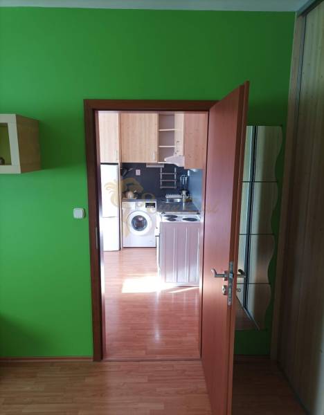 1-pokojový byt se světlými zelenými stěnami a podlahou s dřevěným dekorem.