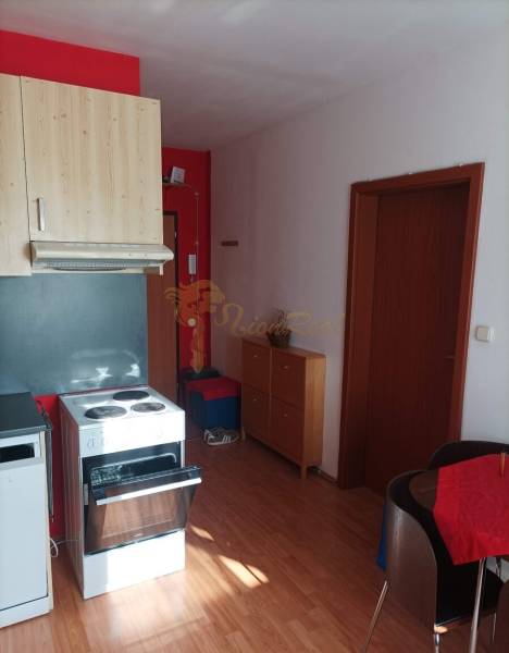 Kuchyně v 1-pokojovém bytě s podlahou s dřevěným dekorem.