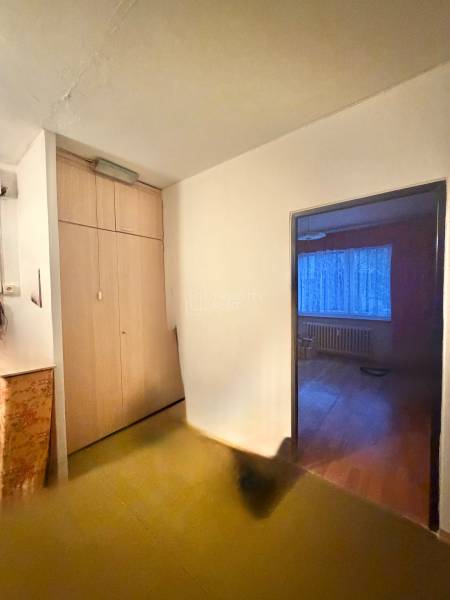 Chodba s vestavěnou skříní v 3-pokojovém bytě, vstup do pokoje s podlahou s dřevěným dekorem.