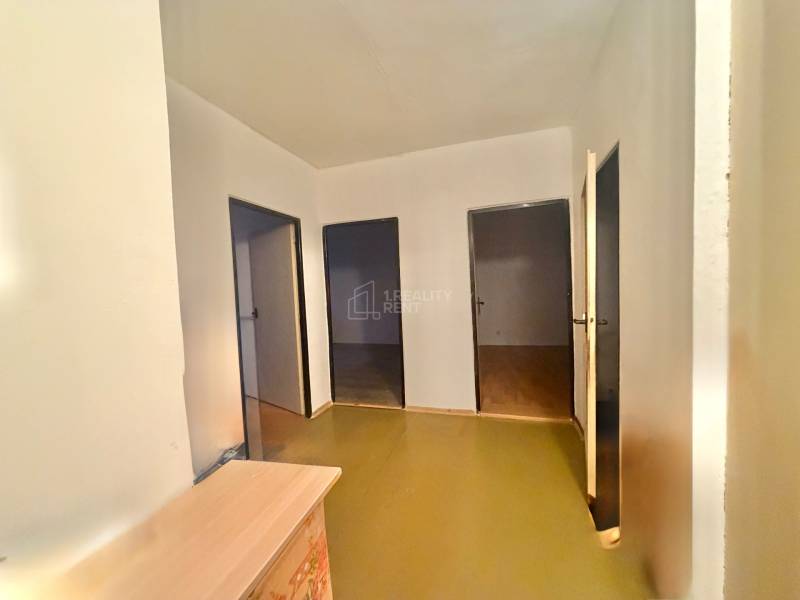 Chodba v 3-pokojovém bytě se světlými stěnami a třemi dveřmi, podlaha s dřevěným dekorem.