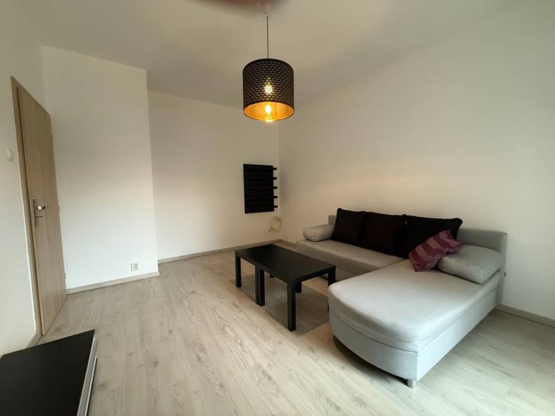 Obývací pokoj s podlahou s dřevěným dekorem, rozkládací sedačkou a minimalistickým nábytkem v 1-pokojovém bytě.