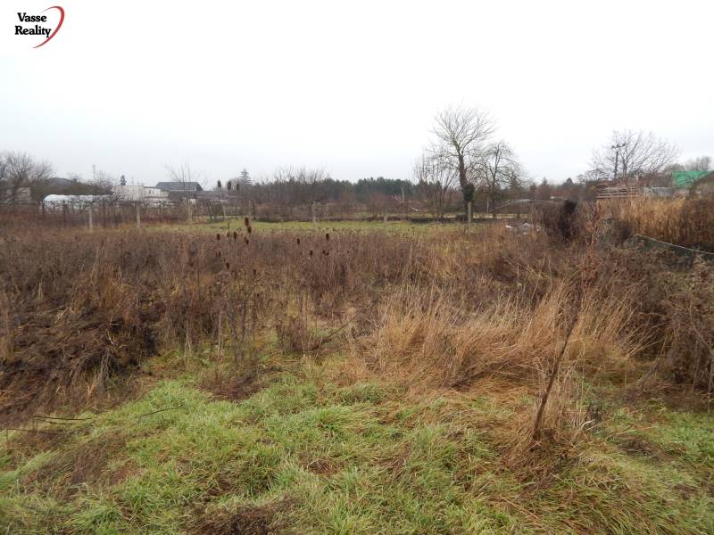 Travnatý pozemek s keři a stromy v Kravanoch nad Dunajem, ideální pro rodinný dům.