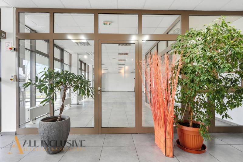 Obchodní prostory se skleněnými dveřmi, rostlinami a dekorativními prvky na podlaze.