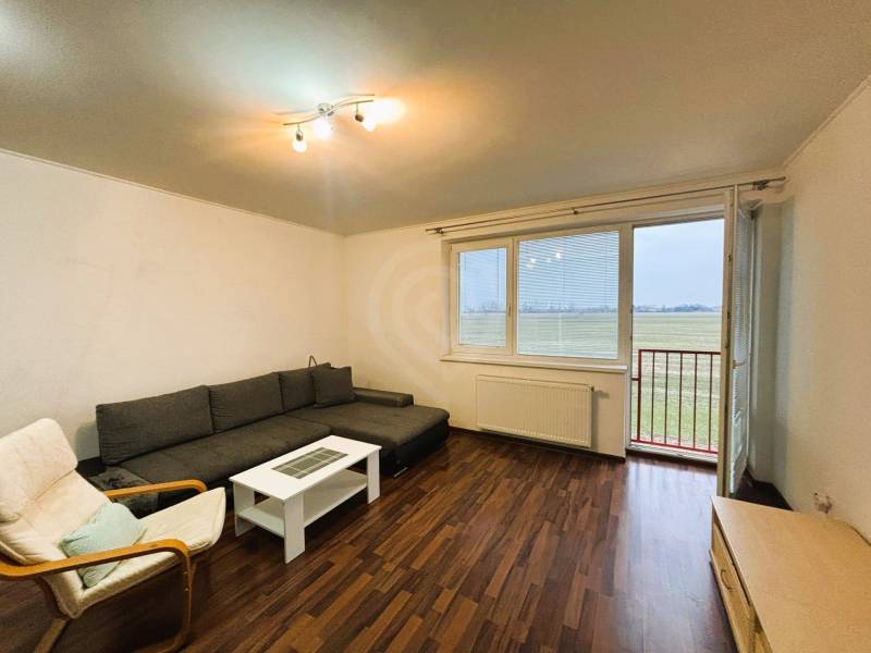 Obývací pokoj v 2pokojovém bytě s podlahou s dřevěným dekorem a pohovkou.