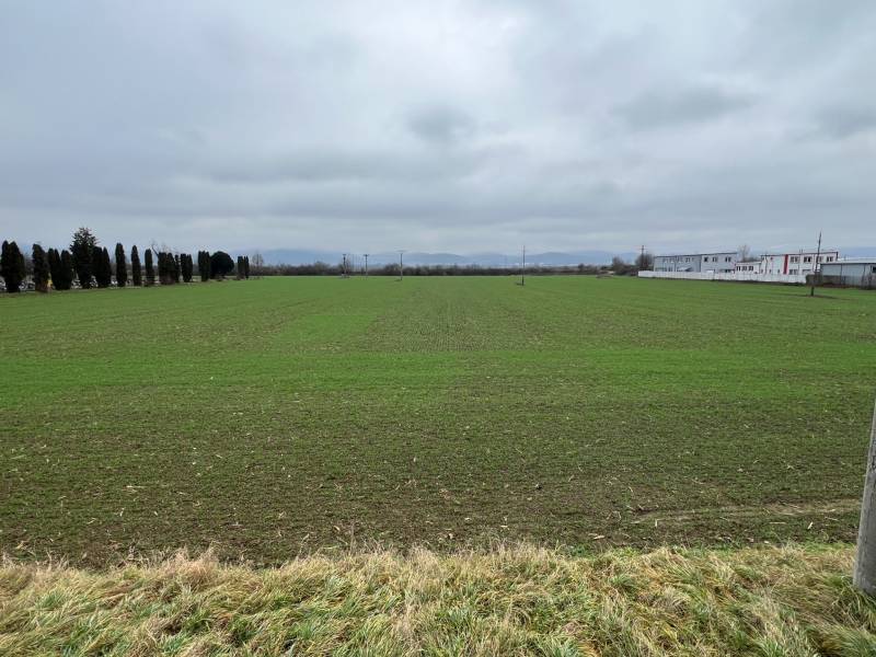 Pozemky - komerční v Pruském se zeleným porostem, stromořadím a průmyslovými budovami v pozadí.