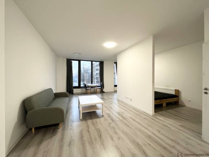 1+kk byt s podlahou s dřevěným dekorem, sedačkou a jídelním koutem.