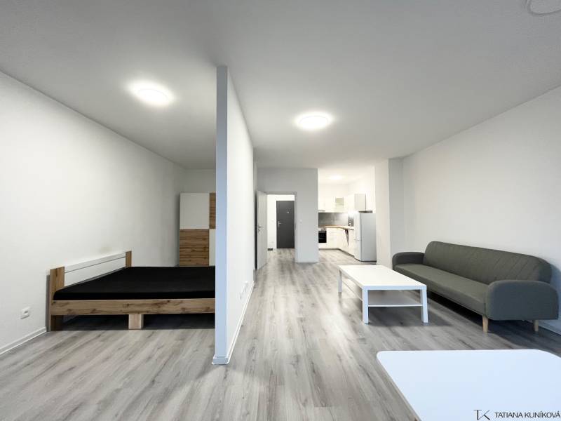 Interiér 1-pokojového bytu s podlahou s dřevěným dekorem, postelí a pohovkou.