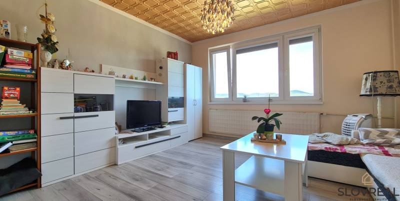 Pokoj v 2-pokojovém bytě s nábytkem, podlahou s dřevěným dekorem a dekoracemi.