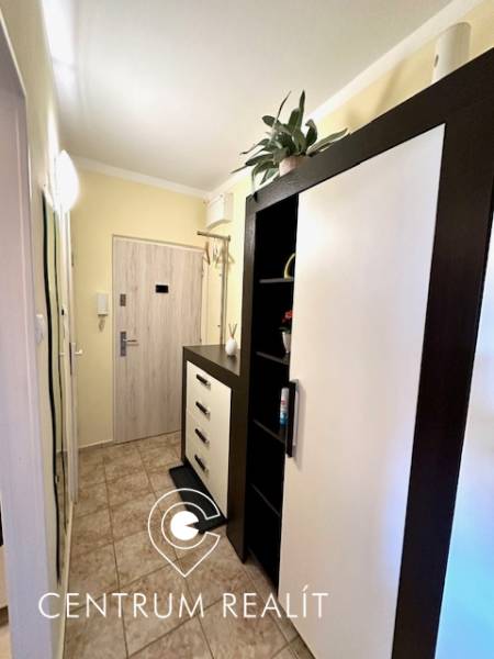 Útulná chodba s nábytkem a vzorovanou dlažbou v 1-pokojovém bytě.