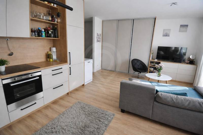 Interiér 1-pokojového bytu s šedou sedačkou, kuchyňskou linkou a podlahou s dřevěným dekorem.