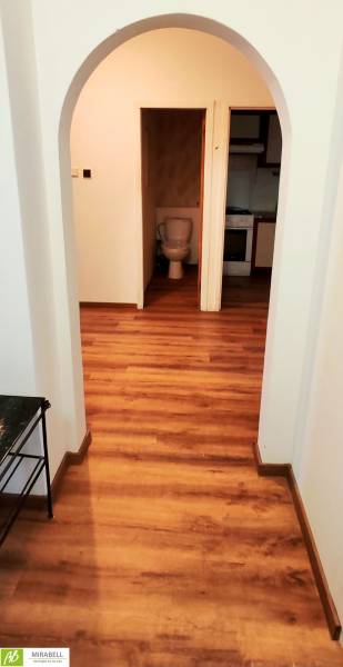 3pokojový byt s podlahou v dřevěném dekoru, oblouk, toaleta a kuchyň v pozadí.