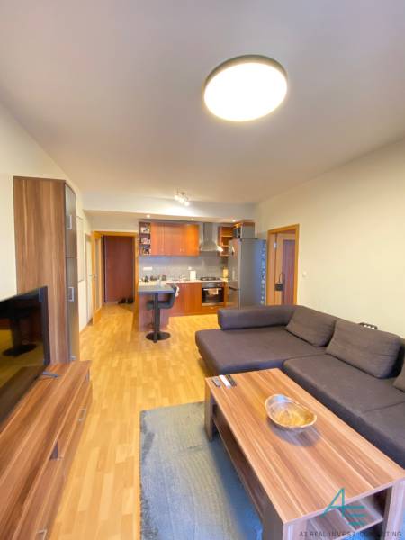 Obývací pokoj v 2pokojovém bytě s podlahou s dřevěným dekorem a pohovkou.