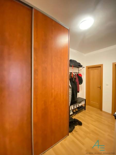 Vstupní chodba 2pokojového bytu s podlahou s dřevěným dekorem a velkou šatní skříní.